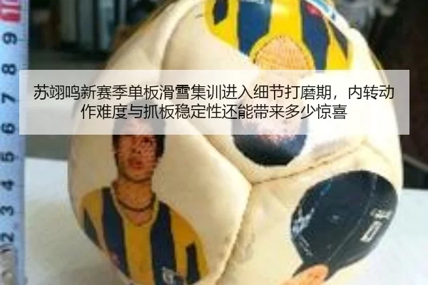 苏翊鸣新赛季单板滑雪集训进入细节打磨期，内转动作难度与抓板稳定性还能带来多少惊喜